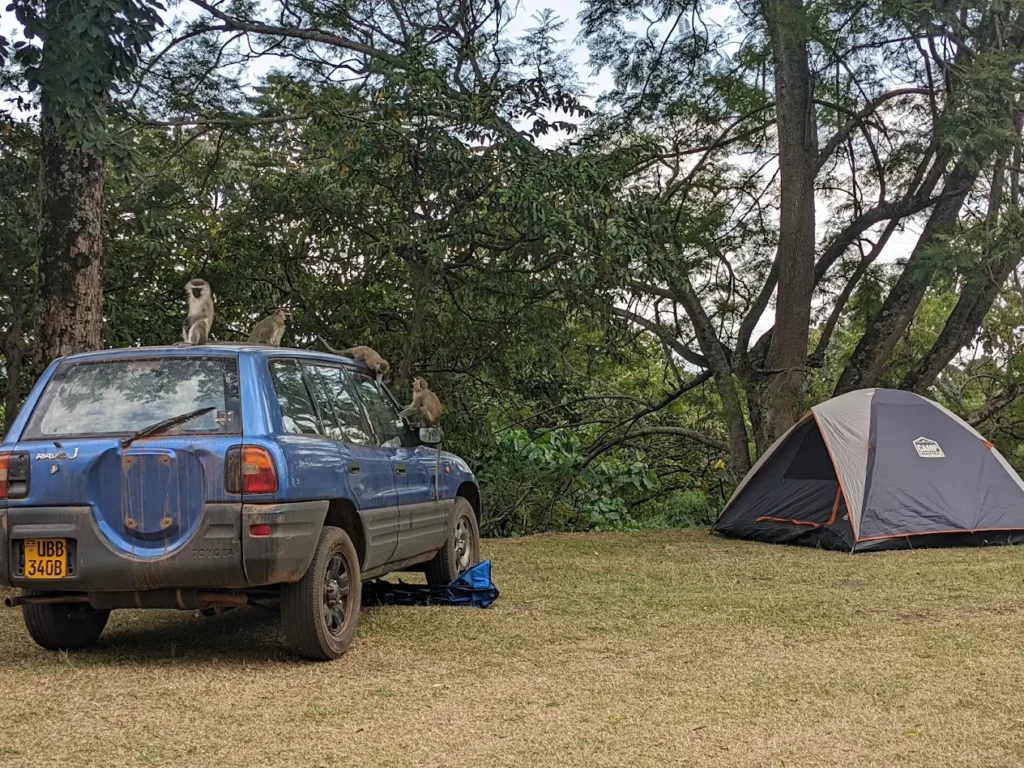 Ground Tents vs Rooftop Tents